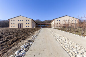 cantine vinicole Fattori