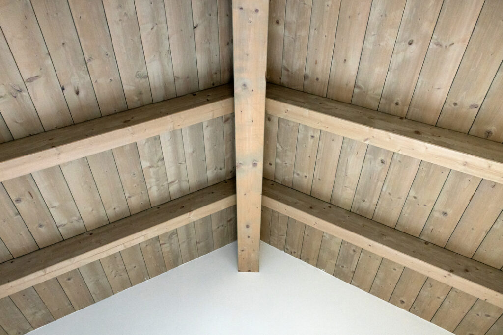 Villa Olivi__4